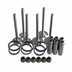 Single Cylinder Diesel Engine Accessories Valve