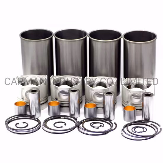 Engine Parts for Construction Machinery Diesel Engine Parts Excavator Caterpiller Komatsu, Doosan, Volvo, Hitachi