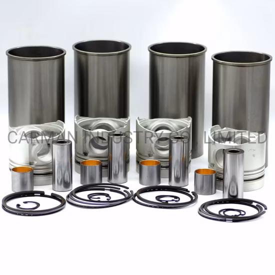 Engine Parts for Construction Machinery Diesel Engine Parts Excavator Caterpiller Komatsu, Doosan, Volvo, Hitachi