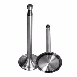 Single Cylinder Diesel Engine Accessories Valve